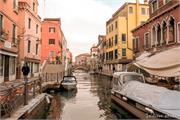 VENICE21 (19)